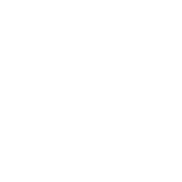 Latent Lab Logo